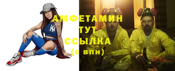 индика Переславль-Залесский