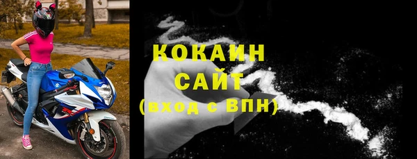молекула духа Пересвет