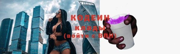 дживик Абаза