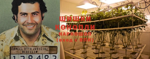стаф Пестово