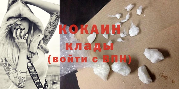 молекула духа Пересвет