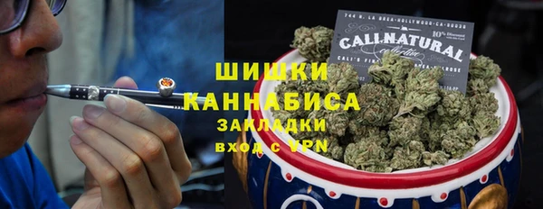 молекула духа Пересвет